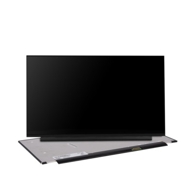 Notebook Display passend für BOE Hydis NV156FHM-N4S V8.0, matt