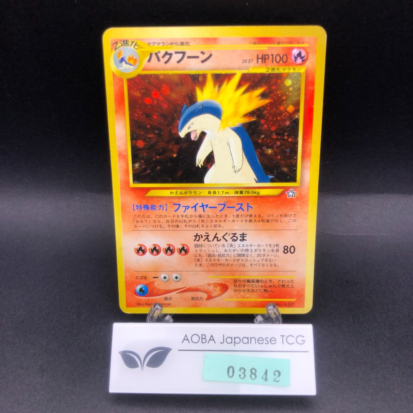 Typhlosion Holo Neo Premium File Promo - Japanese Pokemon Card - 2000