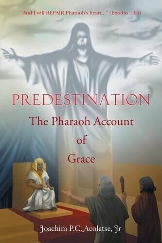 Thumbnail - Joachim P C Acolatse Predestination (taschenbuch)