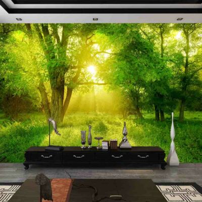 Edge Woods Clear 3D Full Wall Mural Photo Wallpaper Printing Home Kids Decor