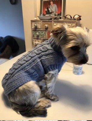 Hand Knitted Dogs Aran Jumper - Made To 