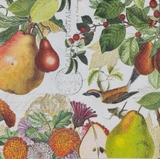TWO Individual Napkins Fruits Birds Autumn Fall Cocktail Decoupage (553)