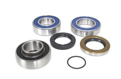 Chain Case Bearing Seal Jack Shaft Summit 1000 High Mark X 151' 2006
