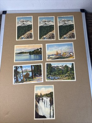 Vintage Washington State Linen Postcard Lot (8) Mount Rainier Seattle Unused 