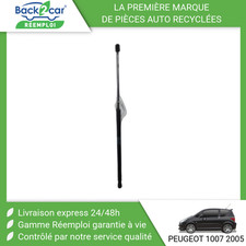 Verin de hayon / de capot Peugeot 1007