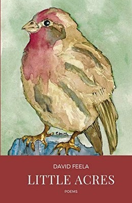 LITTLE ACRES By David Feela **BRAND NEW**