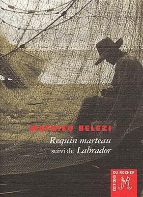 Hai Hammer gefolgt von Labrador - Mathieu Belezi - V2295338