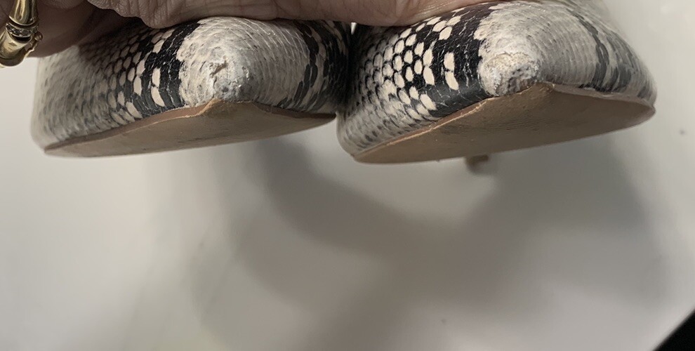 Steve Madden Python Snake Heels 8M - image 13