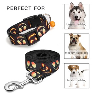 halloween dog leash