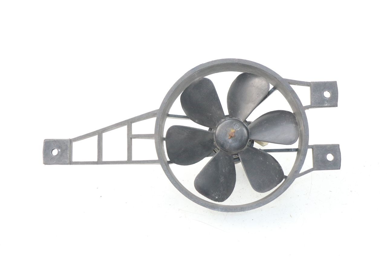 FAN - PEUGEOT SATELIS 300 (2012 - 2015)