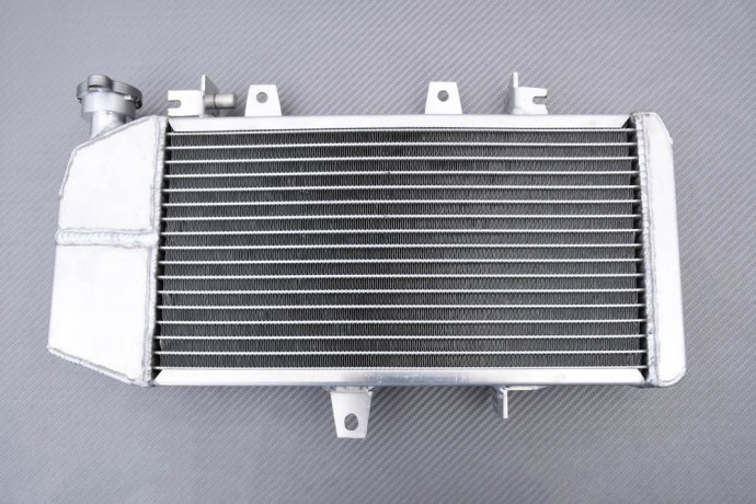 Radiateur Racing en Aluminium pour BMW F650GS 2007-2012 Refroidissement Haute Performance