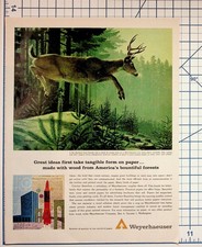 Vintage Weyerhaeuser Paper Ad Stan Galli Deer Forest Art 1950s Magazine Print