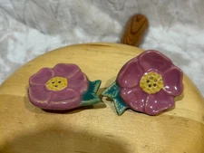 Rosemeade Pottery Wild Rose Salt and Pepper Shakers North Dakota Great Shape