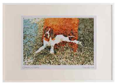 771095 Pointer Puppy A3 Bilderrahmen Aquarelldruck
