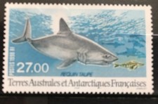 FRENCH ANTARCTIC 1997 Lamna nasus - Mackerel shark MNH 