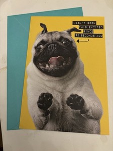 Happy Birthday Dog  greeting card