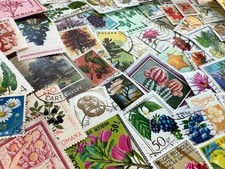 25 FLOWERS + Plants on STAMPS - No Duplicates - FREE SHIPPING!