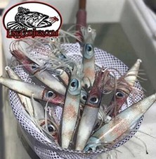 Qty. 2- Lingcod jigs LivingSquid lure glow ji...