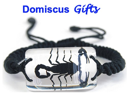 New Real Insect Black Scorpion Bracelet Rectangular Clear Jewelry Pendant Ebay