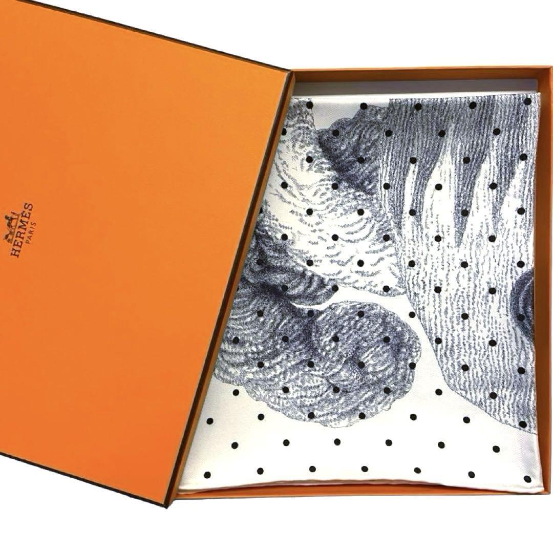 Hermes Scarf Plumets et Panaches 90 cm silk white Carre plume