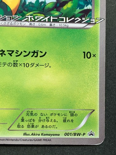 Pokemon Karte Pansage 001/BW-P 2010 PROMO Nintendo Japanese Pocket Monster RARE - Bild 5 von 12