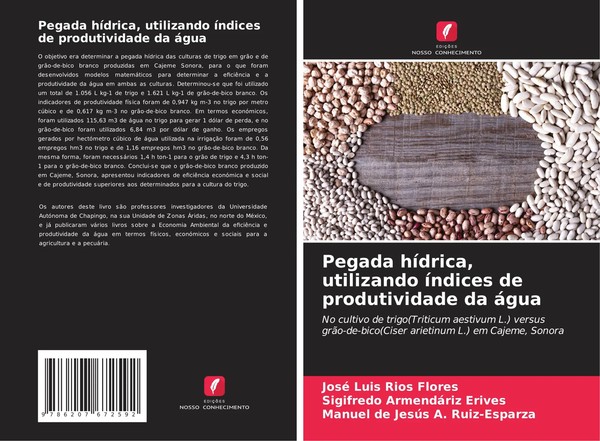 José Luis RíOs Flores (U. A.) | Pegada HíDrica, Utilizando íNdices De...-image