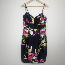 Eliza J Navy Floral Dress sz 6 NWT