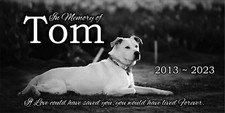 Pet Memorial Stone, Dog Memorial Personalized, Pet Grave Marker, Pet Headstone