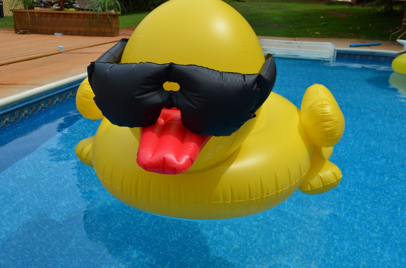 6ft inflatable duck
