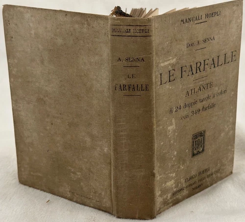 Le Butterflies Atlas Of 24 Boards Angel Senna Entomology Butterflies Hoepli 912