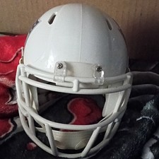 NFL Shield Logo Speed Mini Helmet Riddell NFL Licensed Brand New!