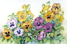 Ceramic Backsplash Tile Mural Floral Flower Kitchen/Bathroom - Amber Pansies