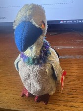 Buzzy the buzzard bird Ty Beanie Baby BABIES VINTAGE RARE RETIRED MINT TAG