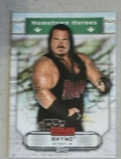 2019 WWE Raw Hometown Heroes Rhyno card #HH-31