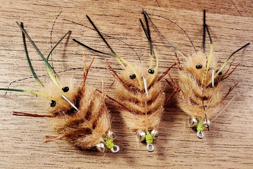 Sandkrabbenfliege, Erlaubnis Krabbenfliege, Knochenfisch Krabbenfliege, Krabbenfliege, Merkin Krabbe - Bild 5 von 12