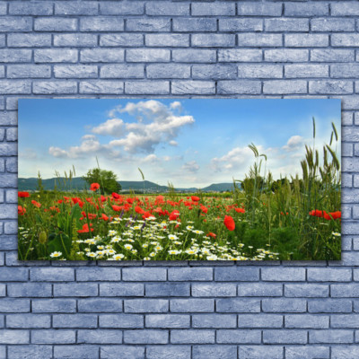 Tableau Paysage Sous Verre - Format 140x70 Cm - Motif Montagnes, Prairie, Fleurs - Moderne
