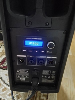 Turbosound iNSPIRE iP300 (One Speaker) PA Active Speaker System w/BT (One)