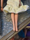 Vtg Rooted Lashes Cher Celebrity Fashion Doll Mego & White Face Candi SW #237 — photo 3