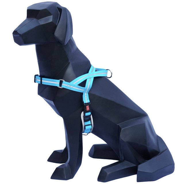 best waterproof dog harness