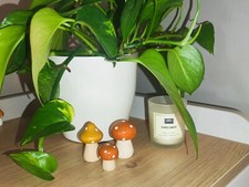 Handmade Seasonal Nature Autumnal Wooden Toadstools Woodland Mushrooms Decor