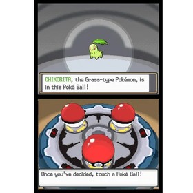 HeartGold & SoulSilver DS NDS Game US Version 2-in-1 Bundle