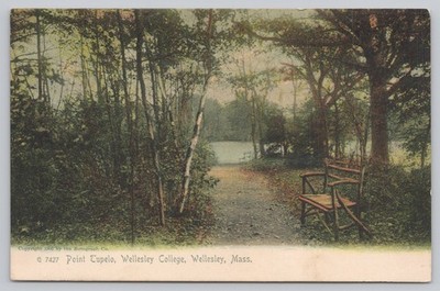 Postcard Point Tupelo Wellesley College Massachusetts
