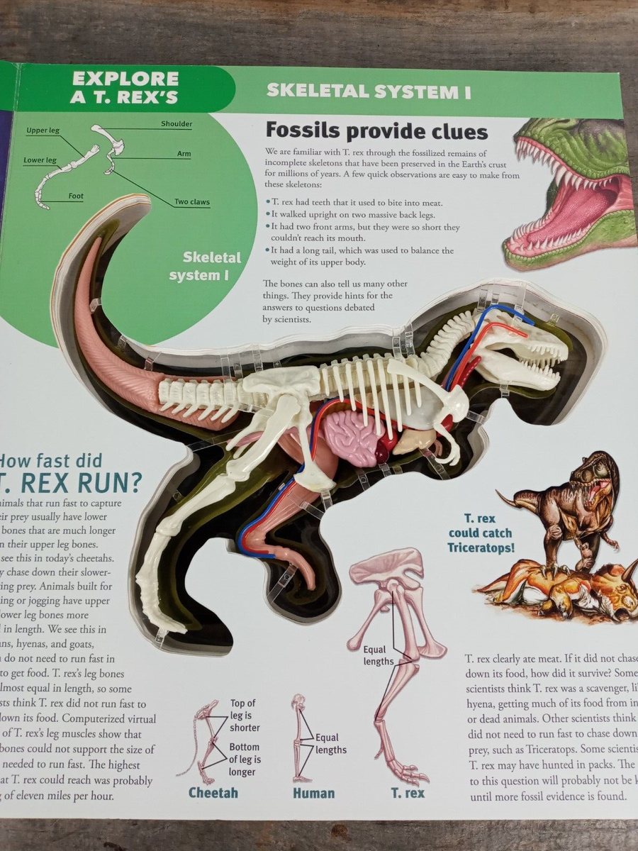 Explore Series T. Rex by Dennis Schatz (2016, Trade