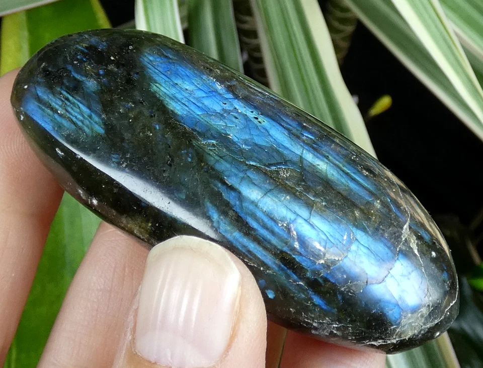 Galet Labradorite bleu & jaune 7x3.5cm Madagascar lithothérapie reiki ancien - Photo 2/4