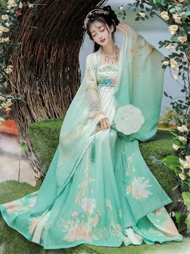 Conjunto de Vestido Estilo Chino Hanfu Vestido Bordado Flor Hada Baile Escenario Trajes - Imagen 5 de 17