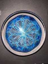 Robert Eickholt 1993 Signed 2 lbs 11.4oz ” Glass Paperweight Sea Anemone