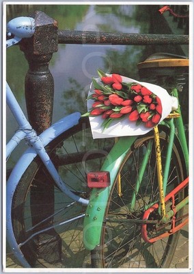 Amsterdam Postkarte Fahrrad Tulpen Nordholland Niederlande Blumen