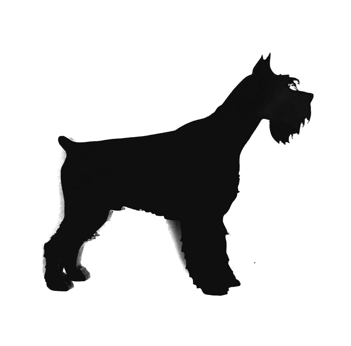 Schnauzer brooch outlet