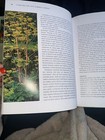 Picture 5 of 8