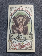 2019 TOPPS  ALLEN & GINTER COLLECTIBLE CANINES MINI INSERT CARD#CC-10